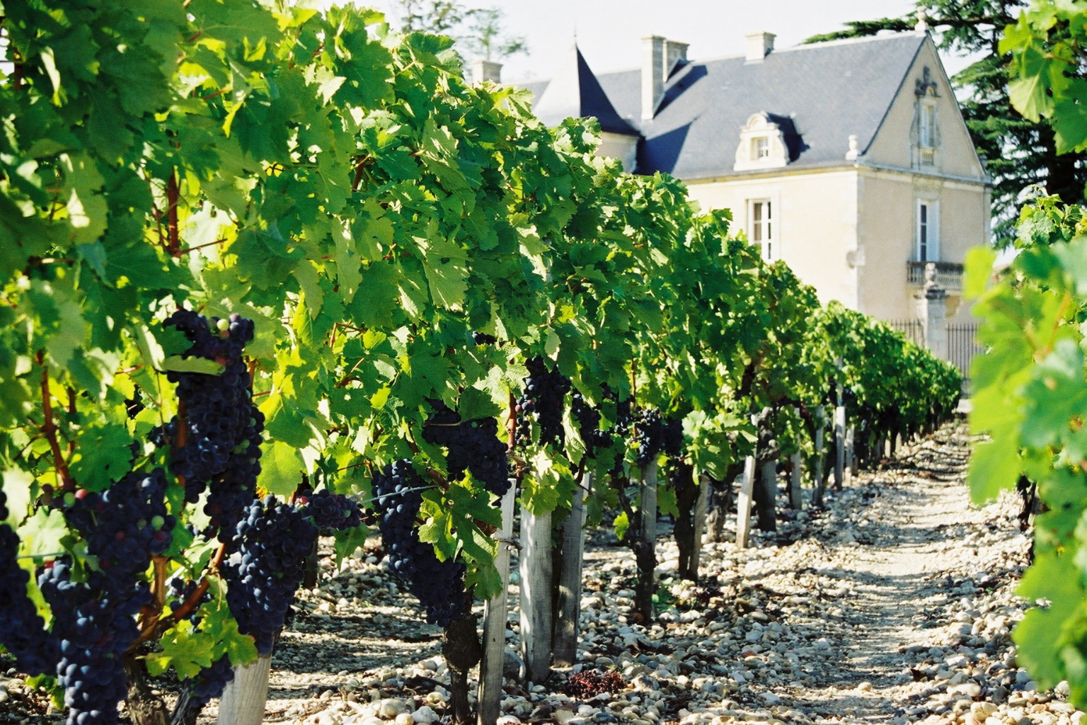 Château La Haye