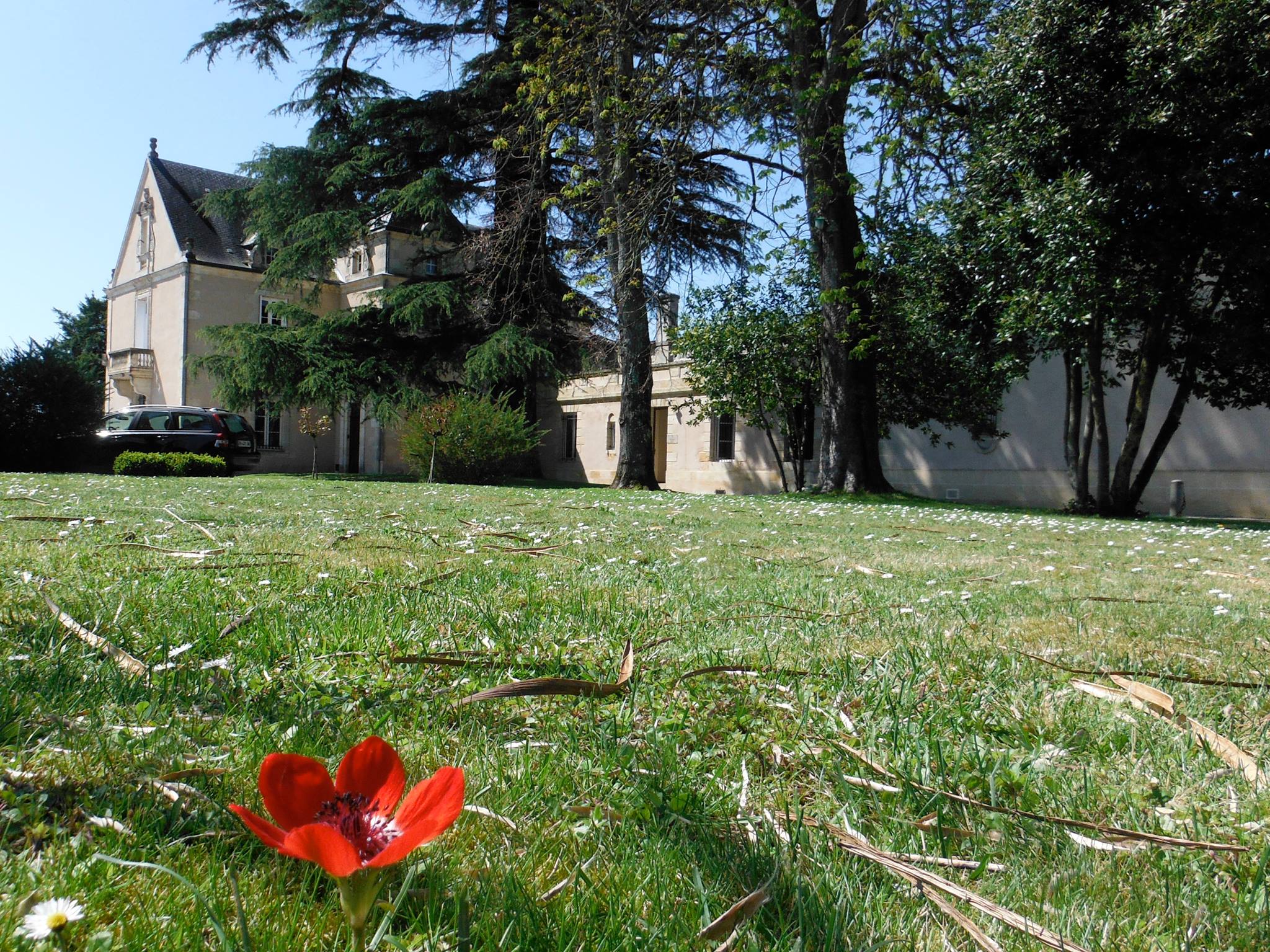Château La Haye