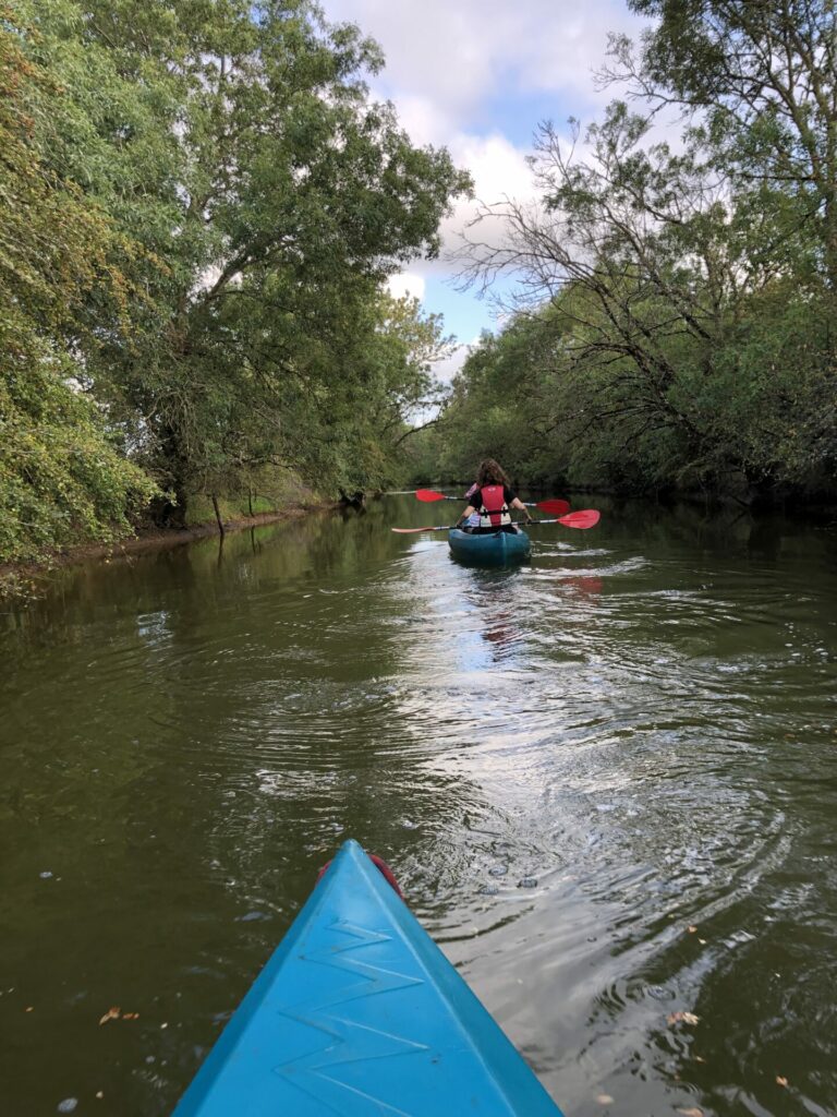 Medoc Explorer Canoë